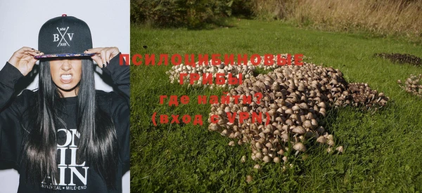 MESCALINE Алзамай