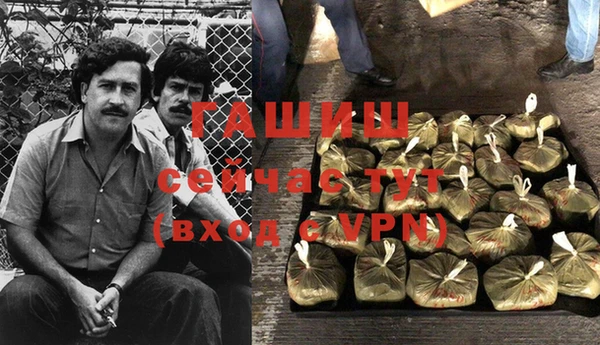 дмт Алексин