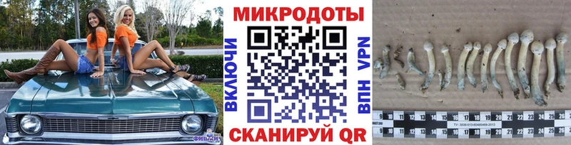 Галлюциногенные грибы прущие грибы  ссылка на мегу tor  Новокубанск 