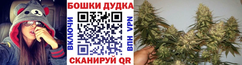 Каннабис Ganja Новокубанск